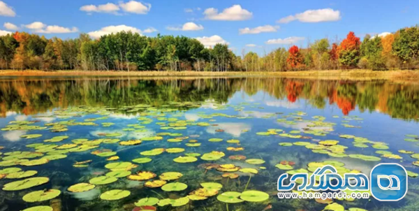 گیلان: خلوتی و زیبایی بکر