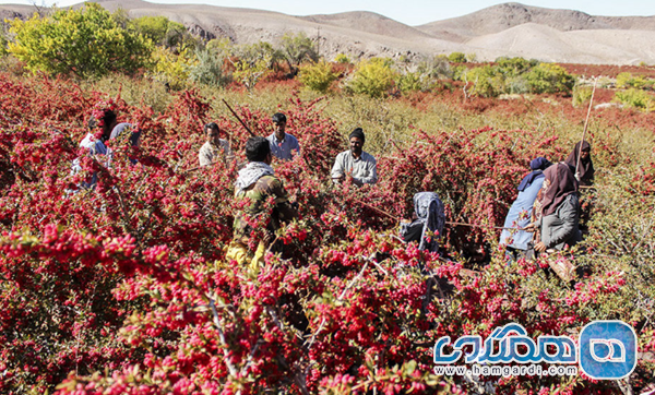 آب و هوای پاییزی منطقه و آمادگی برای سفر