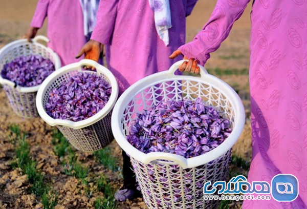 نتیجه گیری: سوغات کویر و تعهد به اقتصاد پایدار