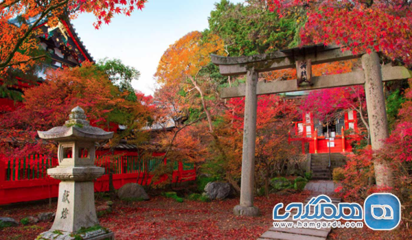 آبان: اوج فصل کویو (Koyo) و شرایط آب و هوا