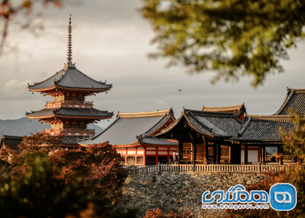 تحلیل بازار: آژانس های برگزارکننده تخصصی و ساختار پکیج ها