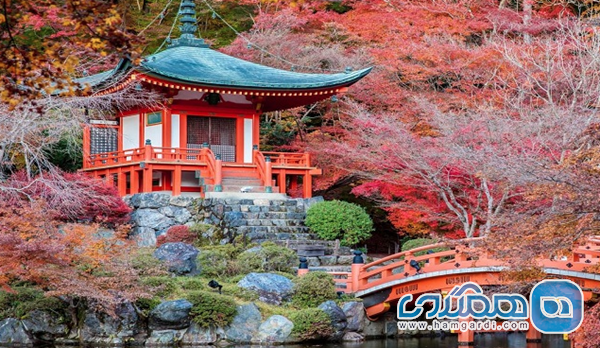 مقایسه تحلیلی پکیج های لوکس (۵ ستاره) و اقتصادی (۴ ستاره)