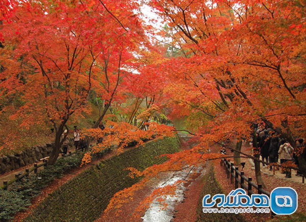 نتیجه گیری و توصیه های نهایی