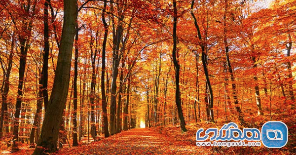 شمال، شمال غرب و غرب (Low Season)