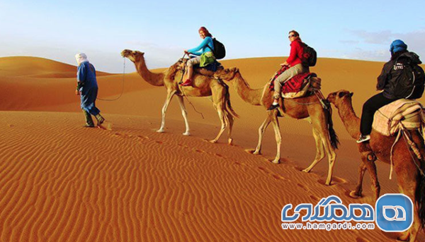 تورهای کویری (مانند کویر مصر)