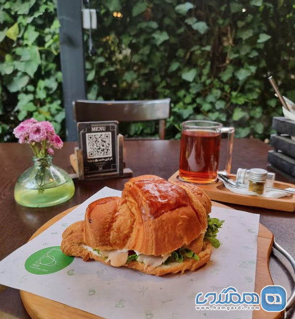 نکات کاربردی برای انتخاب ایده آل در نیاوران