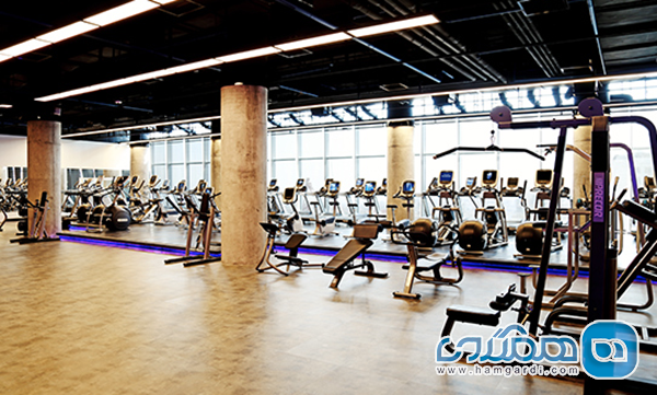 فاکتورهای کلیدی در انتخاب باشگاه بدنسازی ممتاز در فرمانیه