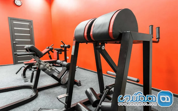 استانداردهای رفاهی و نظافت محیطی (مدل سازی از هتل های پنج ستاره)