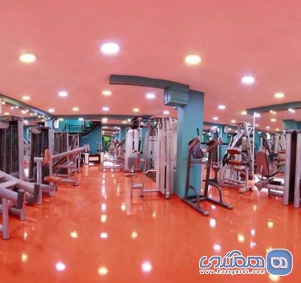 باشگاه دینامیک (Dynamic)