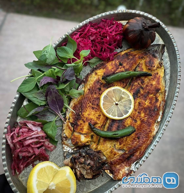 رستوران محمد درچه اصفهان: جایی برای خاطره سازی با غذا کالبدشکافی منوی تخصصی رستوران محمد: از کباب مخلوط تا قیمت های لوکس