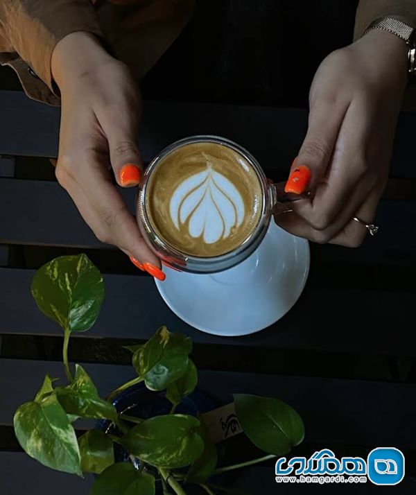کافه گالری چنار (Chenar Cafe Gallery)