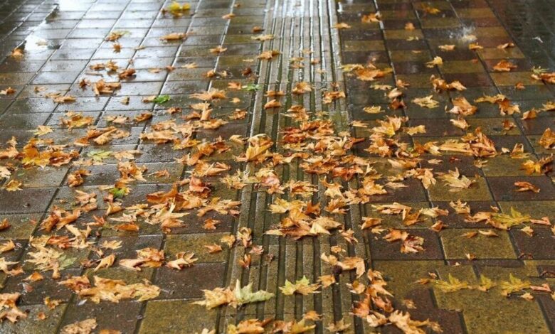 آغاز بارش پاییزی از نیمه دوم پاییز+ فیلم آغاز بارش پاییزی از نیمه دوم پاییز+ فیلم