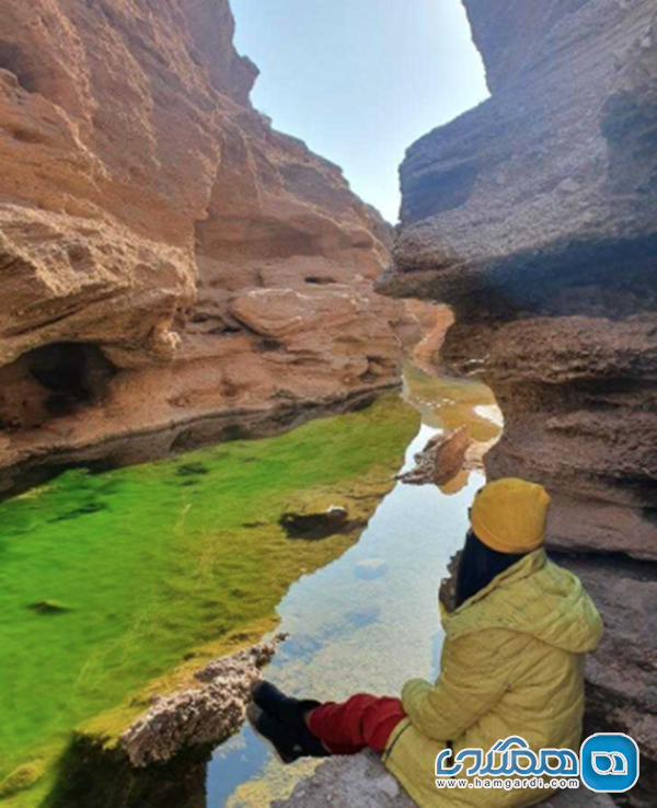 کال جنی (Kall-e Jeni)