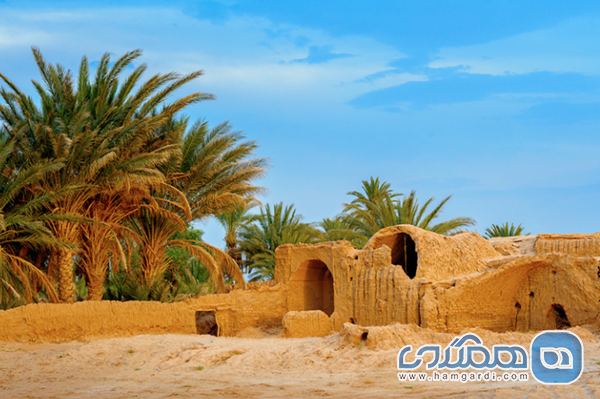 معرفی مجریان تخصصی تور طبس (The Key Players)