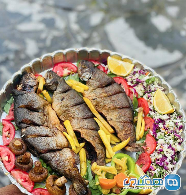 نتیجه گیری