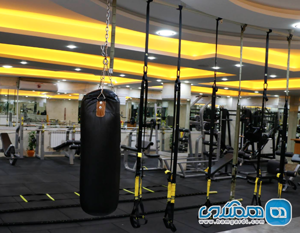 راهنمای متخصص: معیارها و ملاحظات نهایی در انتخاب کلاب ورزشی شیراز