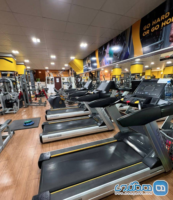 مکان و تخصص: فاکتورهای کلیدی رضایتمندی دیجیتال