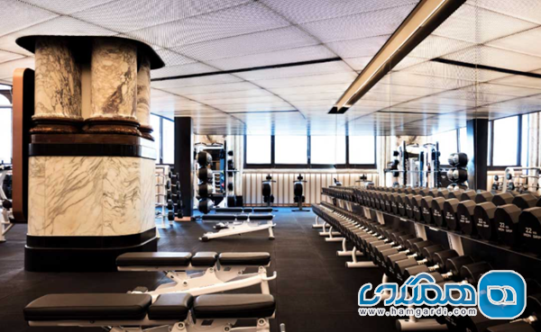 5 باشگاه ورزشی پرتعامل و محبوب شیراز در آبان 1404