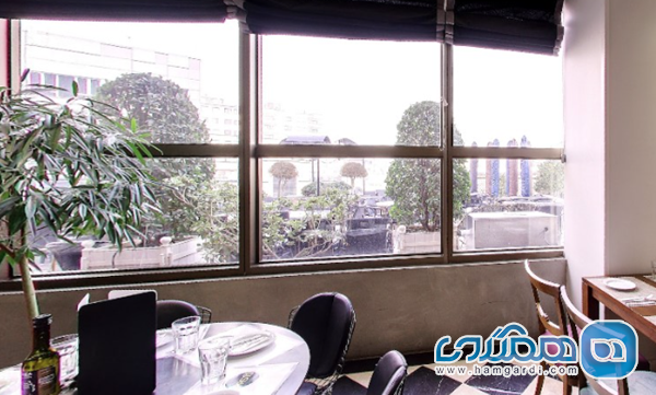 محبوب ترین کافه های زعفرانیه در آبان 1404: جایی برای قهوه، گفتگو و منظره تقاضای سه گانه مخاطب زعفرانیه: غذا، فضا، و لجستیک
