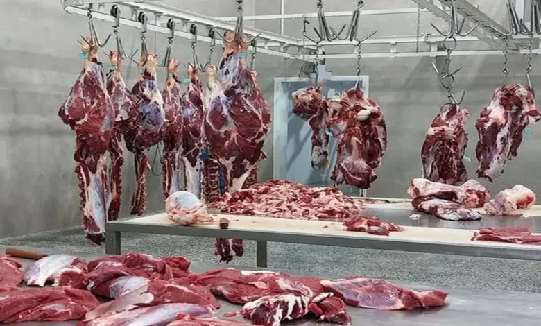 خبر جدید از قیمت گوشت تنظیم بازار/ وعده ارزانی یا آغاز موج گرانی تازه؟ خبر جدید از قیمت گوشت تنظیم بازار/ وعده ارزانی یا آغاز موج گرانی تازه؟