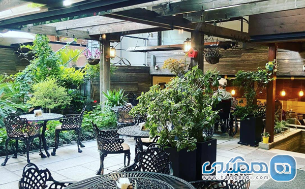 پیشگامان سلامت و غذای گیاهی: تحلیل رستوران گیاهی مادولانژ