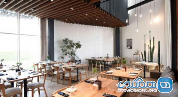 تحلیل برترین های بندر ماهشهر (قطب تنوع غذایی و فضای باغ)