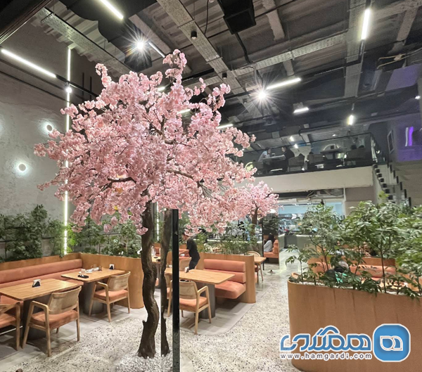 کافه رستیک (Rustic Cafe): پاتوق مطلق دانشجویان تربیت مدرس