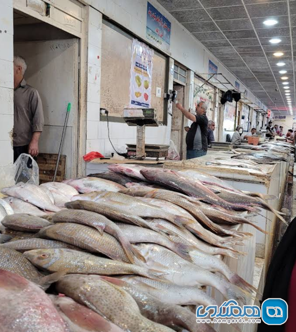 زمان بندی سفر و خرید ماهی تازه