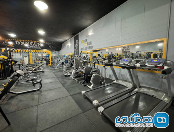 نتیجه گیری: انتخاب بهینه در قلب مرداویج