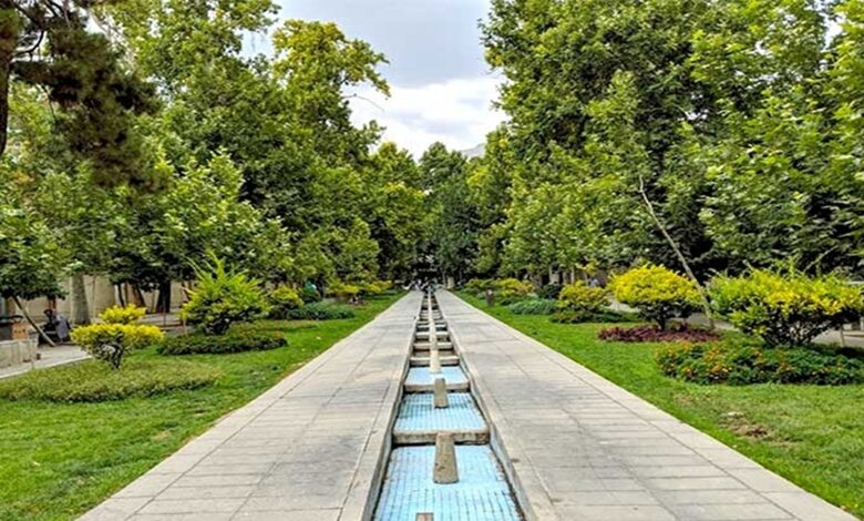 تصویری هولناک از قطع درختان قدیمی باغ فردوس+ عکس تصویری هولناک از قطع درختان قدیمی باغ فردوس+ عکس
