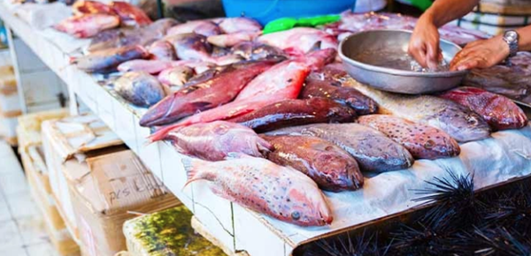 تجربه بازار ماهی و مواد غذایی تازه: تعامل مستقیم با جامعه محلی