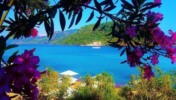 نوروز ۱۴۰۵ کجا برویم؟ مارماریس یا ازمیر؟