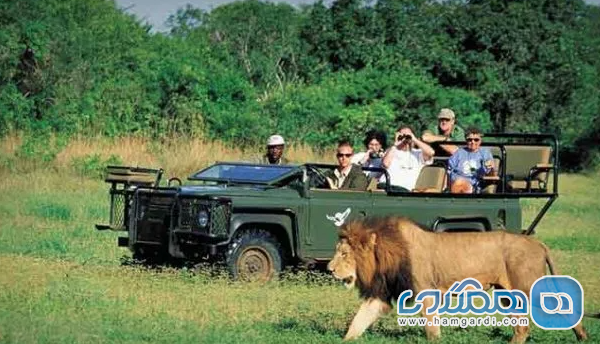 روندهای گردشگری آفریقای جنوبی در سال ۲۰۲۶