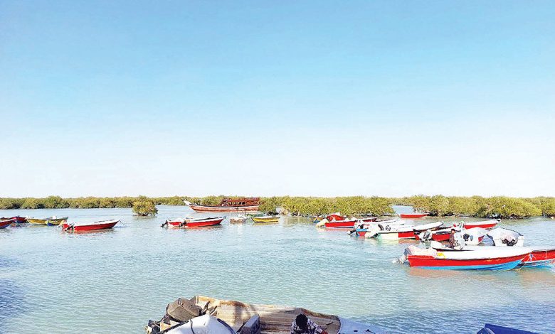 «تفریح» حال خوب میخواهد «تفریح» حال خوب میخواهد