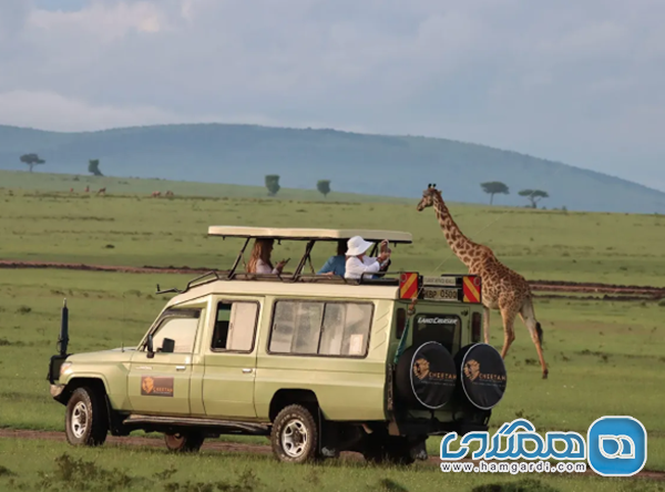 تحلیل فنی زیرساخت های سافاری: لندکروزر در برابر ون