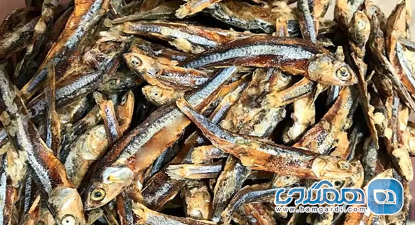 محبوب ترین غذاهای محلی قشم: از هواری میگو تا کلمبا ریشه های تاریخی و سنت فرهنگی آشپزی در جزیره قشم
