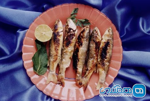 محبوب ترین غذاهای محلی قشم: از هواری میگو تا کلمبا ماهی برشته: سادگی، اصالت و جادوی آتش زغال