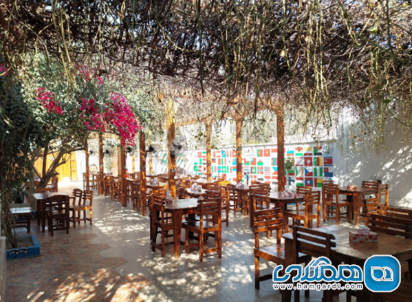محبوب ترین غذاهای محلی قشم: از هواری میگو تا کلمبا راهنمای تخصصی رستوران گردی در قشم