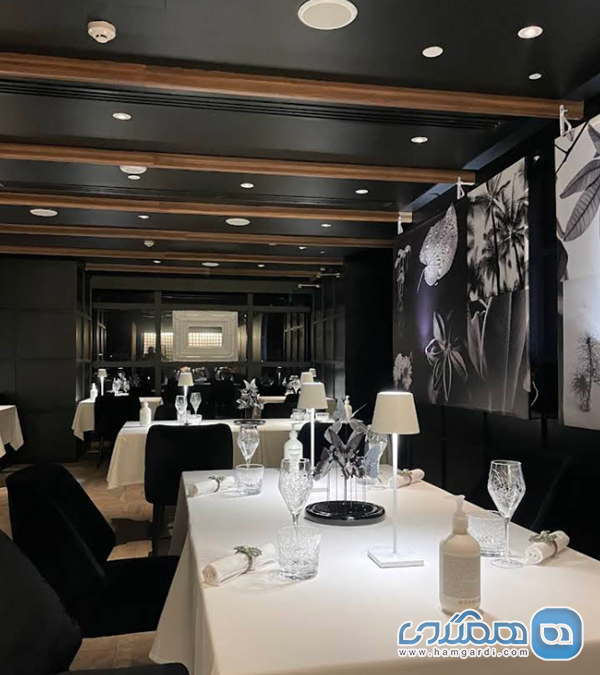 دنیای گاسترونومی دبی در سال ۲۰۲۶: از نگاه یک متخصص شکم گردی