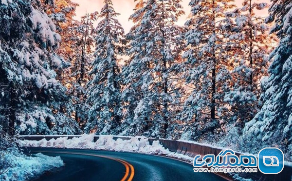 نتیجه گیری