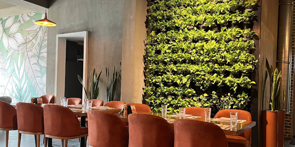 کافه رستوران بوته: پیشرو در ارائه طعم های ایتالیایی