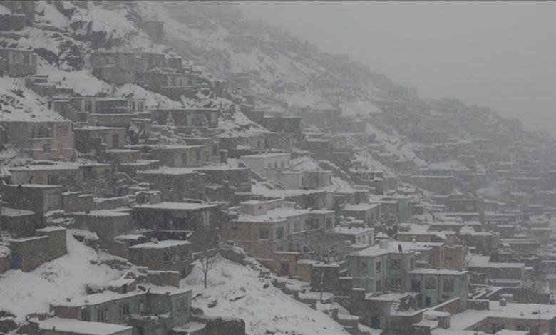پیش بینی هواشناسی ایران فردا ۲۴ بهمن ۱۴۰۴/ ورود سامانه بارشی گسترده از این تاریخ پیش بینی هواشناسی ایران فردا ۲۴ بهمن ۱۴۰۴/ ورود سامانه بارشی گسترده از این تاریخ