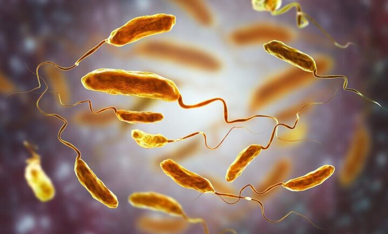 مرگ مشکوک مرد انگلیسی/ پای وبا در میان است؟ مرگ مشکوک مرد انگلیسی/ پای وبا در میان است؟