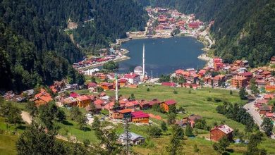 اقامت در قلب ترابزون؛ معرفی ۵ هتل در مرکز شهر با دسترسی عالی اقامت در قلب ترابزون؛ معرفی ۵ هتل در مرکز شهر با دسترسی عالی