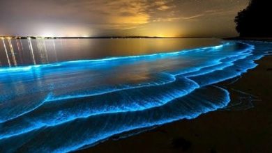 راهنمای گشتوگذار شبانه در کیش برای مسافران راهنمای گشتوگذار شبانه در کیش برای مسافران