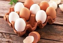 پیشنهاد عجیب برای قیمت تخم‌مرغ / تخم‌مرغ باید گران شود؟