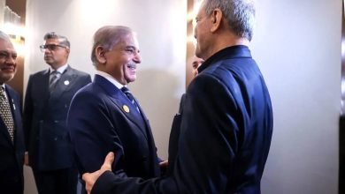 در گفتگوی ۴۵ دقیقه‌ای پزشکیان با نخست وزیر پاکستان چه گذشت؟