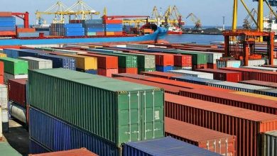 ایران صادرات این محصول را ممنوع کرد