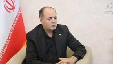 خبر مهم وزیر کشاوزی برای گندمکاران / قیمت گندم رسما اعلام شد