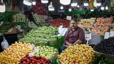 انفجار قیمت‌ها در بازار میوه‌های نوبرانه؛ توت فرنگی و گوجه سبز به کیلویی چند تومان رسید؟